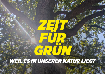 Zeit für Grün in Hollabrunn